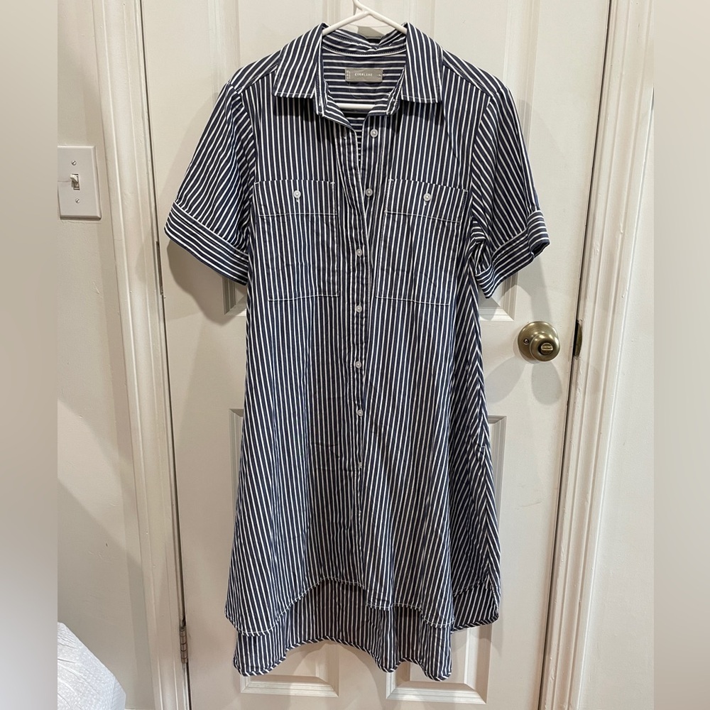 Everlane Cotton Daytripper Shirt Dress